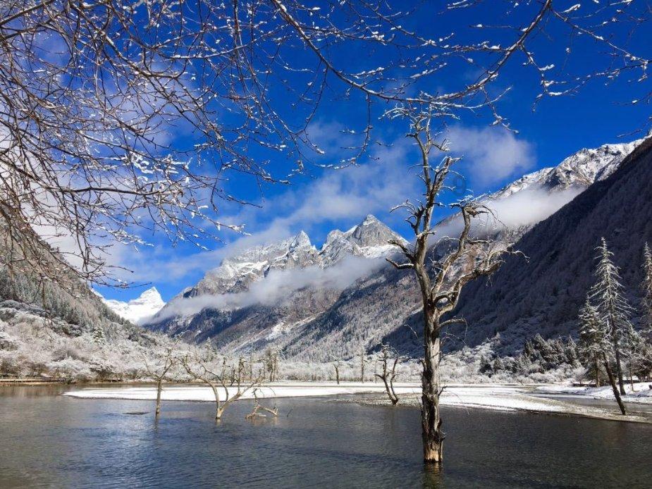 别嘴馋!一游客在日本捡雪吃:突发急病连烧八天
