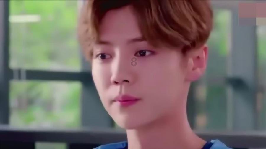 救援男孩与狗