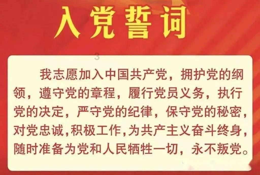 小猫钓鱼游戏龙王版有船